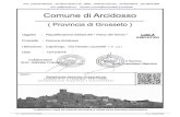 New Arch. Francesco Marchini V.le Vittorio Veneto n°30 58033 … · 2018. 12. 31. · Amiata, sita nell'ambito dei comuni di Seggiano, Castel del Piano, Arcidosso e Santa Fiora (Grosseto)”