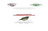 Tráfico de Animais da Fauna Silvestre Nacional€¦ · Tráfico de Animais da Fauna Silvestre Nacional Dados Estatísticos e Estratégias Operacionais 2001 - 2005 5 Bigodinho Comentários: