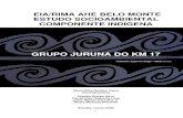 EIA/RIMA AHE BELO MONTE ESTUDO SOCIOAMBIENTAL …philip.inpa.gov.br/publ_livres/Dossie/BM/DocsOf/EIA-09/Vol 35/TOM… · 1 EIA/RIMA AHE BELO MONTE ESTUDO SOCIOAMBIENTAL COMPONENTE