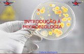 MICROBIOLOGIA Cidiane Rodrigues INTRODUÇÃO À€¦ · ao estudo dos microrganismos, um vasto e diverso grupo de organismos unicelulares de dimensões reduzidas, que podem ser encontrados