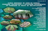 Governo do Estado de São Paulo Instituto Agronômico · O manejo varietal em cana-de-açúcar é uma estratégia que procura explorar os ganhos gerados pela interação genótipo