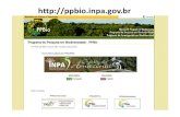 Apresentação Portal PPBio [Modo de Compatibilidade]ppbio.inpa.gov.br/sites/default/files/Apresentacao_Portal_PPBio.pdf · 2009-12-14 M ais Instalação In fra-estruturw Treinamento