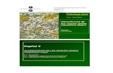 PetrologiaIgnia1213Cl02OMdiposit.ub.edu/dspace/bitstream/2445/32383/1/PetrologiaIgnia1213Cl02… · Petrologia Ígnia Curs: 2012-2013 Classificació de les roques ígnies (Classificació