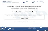 LTCAT 2017 - athenasgestao.com€¦ · O LTCAT contém informações detalhadas, solicitadas pelo Art. 178 constantes na IN-DC-99 do INSS/MPAS: A empresa que não mantiver o Laudo