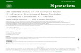On current status of the scorpion fauna (Chelicerata ...€¦ · Aracnídeos. Programa de Pós-Graduação em Recursos Naturais do Cerrado, Brasil. 3Grupo de Investigación en Biodiversidad