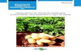 Desempenho de clones de batata para produtividade, peso ... · plantas mais vigorosas produzem tubérculos maiores, com maior número e maior rendimento. Mas, nota-se na prática