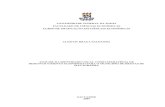 TCC Cleiton Braga Saldanha · 2018. 6. 11. · Ficha catalográfica elaborada por Vânia Magalhães CRB5-960 Saldanha, Cleiton Braga S162 Análise da identidade local como estratégia