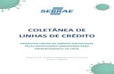 COLETÂNEA DE LINHAS DE CRÉDITO Sebrae/Artigos...2020/09/04  · Coletânea das principais linhas de crédito anunciadas pelas Instituições Financeiras Versão 18 (04/09/2020) –