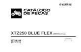 XTZ250 BLUE FLEX...16 44C–F4501–10 FILTRO DE COMBUSTIVEL 1 17 1ST–F4568–00 CINTA DO FILTRO 1 18 4B4–F4566–00 SUPORTE DO FILTRO 1 19 95802–06010 PARAFUSO FLANGE 3 20 53P–E3906–00