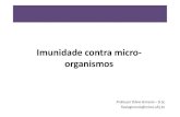 Imunidade contra micro- organismos - Flávio Gimenisflaviogimenis.com.br/wp-content/uploads/2018/12/15...mecanismos efetores da imunidade inata e adaptativa. Características gerais