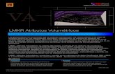LMKR Atributos Volumétricos VA...VA TM LMKR Atributos Volumétricos Calcular Atributos de alta resolución en sísmicas 3D Beneficios Flexibilidad Basadas en expresiones matemáticas