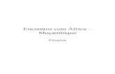 Encontros com África – Moçambique · A Questão da Língua na Literatura Moçambicana 1 Anna Pöysä Centro de Estudos Sociais Faculdade de Economia Universidade de Coimbra 1.