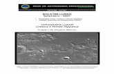boletim lunar setembro2007 - REA Brasil · 2012. 5. 22. · Em Rima Ariadaeus, por exemplo, cadeias de cratera também são vistas dentro do rille, correndo paralelo com a falha do