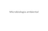 Microbiologia ambiental - Portal IDEA...Gram-positivas Bacilos formadores de endosporos Endosporos: células desidratadas, refractárias, aparecem como pontos brilhantes ao MO As bactérias