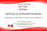 CAPÍTULO 10- AFRICANOS NO BRASIL · QUESTÃO 1-O Quilombo dos Palmares foi o mais célebre dos locais de resistência criados pelos africanos escravizados no Brasil. Assinale a alternativa