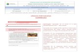 PREFEITURA DO MUNICÍPIO DE DIADEMA EMEB PROFESSORA …educacao.diadema.sp.gov.br/educacao/attachments/article/1346/5º… · invés de lavar com mangueira. Conserte os vazamentos
