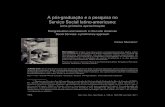 A pós-graduação e a pesquisa no Serviço Social latino …762 Serv. Soc. Soc., São Paulo, n. 108, p. 762-780, out./dez. 2011 A pós-graduação e a pesquisa no Serviço Social