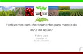 Fertilizantes com Micronutrientes para manejo da cana-de-açúcar com micronutrientes Coplaca… · Exige menor energia da planta Excelente complexante, favorece absorção de B,