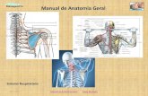Manual de Anatomia Geral - massagempro.com de Anatomia_Sistema... · Julho 2011 Manual de Anatomia Geral Paulo Murteira CEFAD 3 Bibliografia 1. Anatomia e Fisiologia , de Seeley Stephene