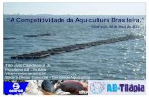 “A Competitividade da Aquicultura Brasileira.”...III. Os grandes “Players” internacionais e as características de seus cultivos • Poli-cultivo semi-extensivo em tanques