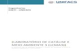 LABORATÓRIO DE CATÁLISE E MEIO AMBIENTE 3 (LCMA3) · 2020. 3. 7. · O Laboratório de Catálise e Meio Ambiente 3, em sua área específica de atuação, tem como objetivos principais: