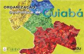 New DIVISÃO TERRITORIAL DE CUIABÁ · 2014. 1. 29. · Em 1835, o Presidente da Província de Mato Grosso, António Pedro de Alencastro declara Cuiabá a capital da Província de