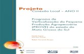 Projeto - FGV EAESP Pesquisa...O programa veio para o Mato Grosso do Sul através de Dorcelina Folador, então prefeita do pequeno município de Mundo Novo e integrante do Partido