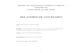 RELATÓRIO DE ATIVIDADES - labmicro.iag.usp.br · limitação de operação do avião, uma vez que não é possível obter medidas abaixo de 30 metros (Enriquez e Friehe, 1997). A