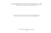 UNIVERSIDADE DO ESTADO DO AMAZONAS UEA · Apresentação da Emenda da disciplina de estagio Supervisionado II na UEA ... 07/04/2017 Entrega do relatório de estagio 18/04/2017 Coleta