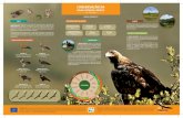 Laranja LPN Poster 42x29,7 10 Abril PT vslifeimperial.lpn.pt/files/files/E3_folheto_poster.pdfa trabalhar em conjunto na Rede Natura 2000 de modo a proteger a herança natural da Europa,