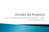 Curso de Engenharia Industrial Madeireira UFPR Prof ... · É importante se ter consciência de que cada projeto é único, o que não significa que existe apenas um método de gerenciamento.