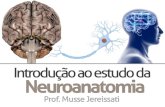 Introdução ao estudo da Neuroanatomia - Musse Jereissatimussejereissati.com/wp-content/uploads/2018/04/181_ALL... · Unidade básica do sistema nervoso. 36. Neurônio Típico 37.