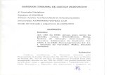 Confederação Brasileira de Futebol · 2019. 5. 29. · imputando à equipe denunciada do Fluminense a infração ao art. 191 do CBJD, por descumprimento de obrigação legal consubstanciada