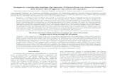 COnnecting REpositories - Imagens multipolarizadas do ...Pesq. agropec. bras., Brasília, v.47, n.9, p.1307-1316, set. 2012 Imagens multipolarizadas do sensor Palsar/Alos na discriminação