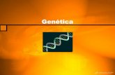 Genética - Sacramentinas Conquistasacramentinasconquista.com.br/.../12/GeneticaparaPDF.pdf · 2019. 6. 29. · "genes") às gerações sucessivas de acordo com relações do jogo.