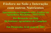 Fósforo no Solo e Interação com outros Nutrientes...Fósforo no Solo e Interação com outros Nutrientes Apresentado no Simpósio sobre Fósforo na Agricultura Brasileira - POTAFOS