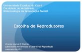Universidade Estadual do Ceará Faculdade de Veterinária ... 11.pdf · Exame clínico do sistema reprodutor uro ão o Cão. Exame clínico do sistema reprodutor Biometria testicular: