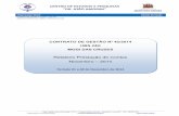 Relatório Prestação de Contas Novembro – 2014 · 2019. 3. 26. · Consultas Médicas monitoradas através de planilha UBS 24h Vila Suissa Indicadores de Produção – Serviço