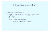 Sergio Russo Matioli Depto. De Genética e Biologia ...adi-38.bio.ib.usp.br/0440041/2006/filogenias.pdf · As relações entre a estruturas primárias de macromoléculas de organismos