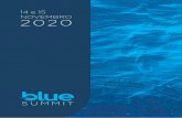 14 e 15 NOVEMBRO 2020 - faceacademy.com.br€¦ · SOBRE O BLUE SUMMIT A ideia do BLUE SUMMIT surgiu da observação da trajetória do médico e de como ele almeja alcançar o sucesso.