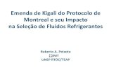 Emenda de Kigali do Protocolo de Montreal e seu Impacto na ......2020/09/16  · Camada de Ozônio •Protocolo de Montreal em 1987 tornou-se o primeiro tratado das Nações Unidas