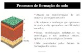 Processos de formação do solosite.ufvjm.edu.br/.../07/Processos-de-formação-do-solo.pdf · 2016. 7. 29. · Processos de formação do solo Ocorre quando constituintes do solo