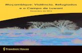 Moçambique: Violência, Refugiados e o Campo de Luwani · 2020. 3. 4. · respostas à pergunta sobre se os autores dos ataques visavam todos os tipos de moçambicanos nas aldeias