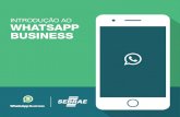 INTRODUÇÃO AO WHATSAPP BUSINESS Sebrae/UFs/MS... · 2020. 8. 25. · Introdução ao WhatsApp Business 4 Enviar mensagens se tornou um componente in-dispensável da forma como nos
