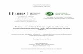 Mudanças nos Valores da Conservação da Natureza: uma análise …alteracoesclimaticas.ics.ulisboa.pt/wp-content/teses/... · 2017. 7. 6. · A Floresta Atlântica Brasileira, a