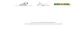 Estudo de Viabilidade Técnica, Econômico-Financeira e ...web.antaq.gov.br/portalv3/AudienciaPublica/2016_01/pdf/...ponte de acesso com 853 metros de comprimento e um sistema de dutovias
