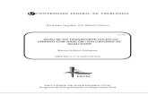 Dissertação DE M - Livros Grátislivros01.livrosgratis.com.br/cp062810.pdf · viii RODRIGUES, M. A. Análise do transporte coletivo urbano com base em indicadores de qualidade.