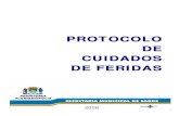 PROTOCOLO DE CUIDADOS DE FERIDAS - Santa Catarinaportal.pmf.sc.gov.br/arquivos/arquivos/pdf/26_10_2009_10... · 2010. 9. 15. · de Saúde da Família, num total de 84 equipes. Em