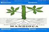 CERRADO-MA - Embrapaainfo.cnptia.embrapa.br/digital/bitstream/item/48391/1/... · 2011. 12. 23. · I. CARACTERIZA@LO DO PRODUTO E DA REGIÃO A mandioca é cultivada em todas as regiks