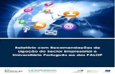 Relatório com Recomendações de Ligação do Sector ......Relatório com Recomendações de Ligação do Sector Empresarial e Universitário Português ao dos PALOP Promotor: TICE.PT